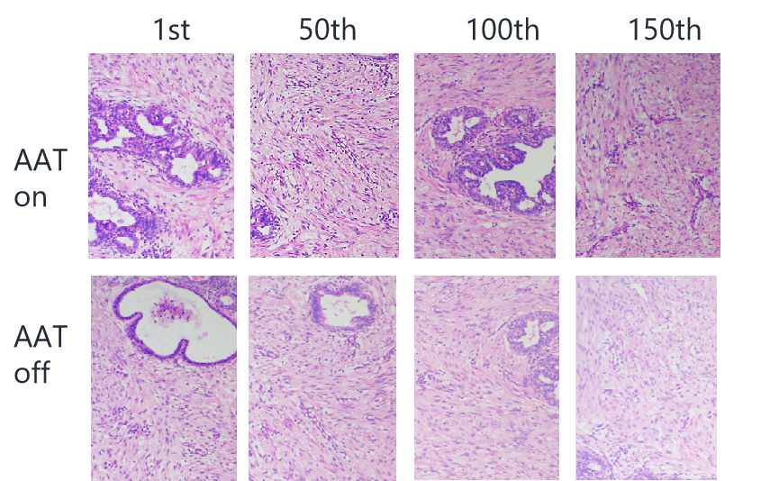 精于质量控制切片效果出色稳定