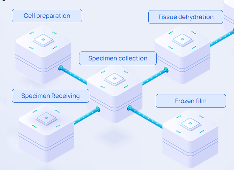 病理标本追溯系统