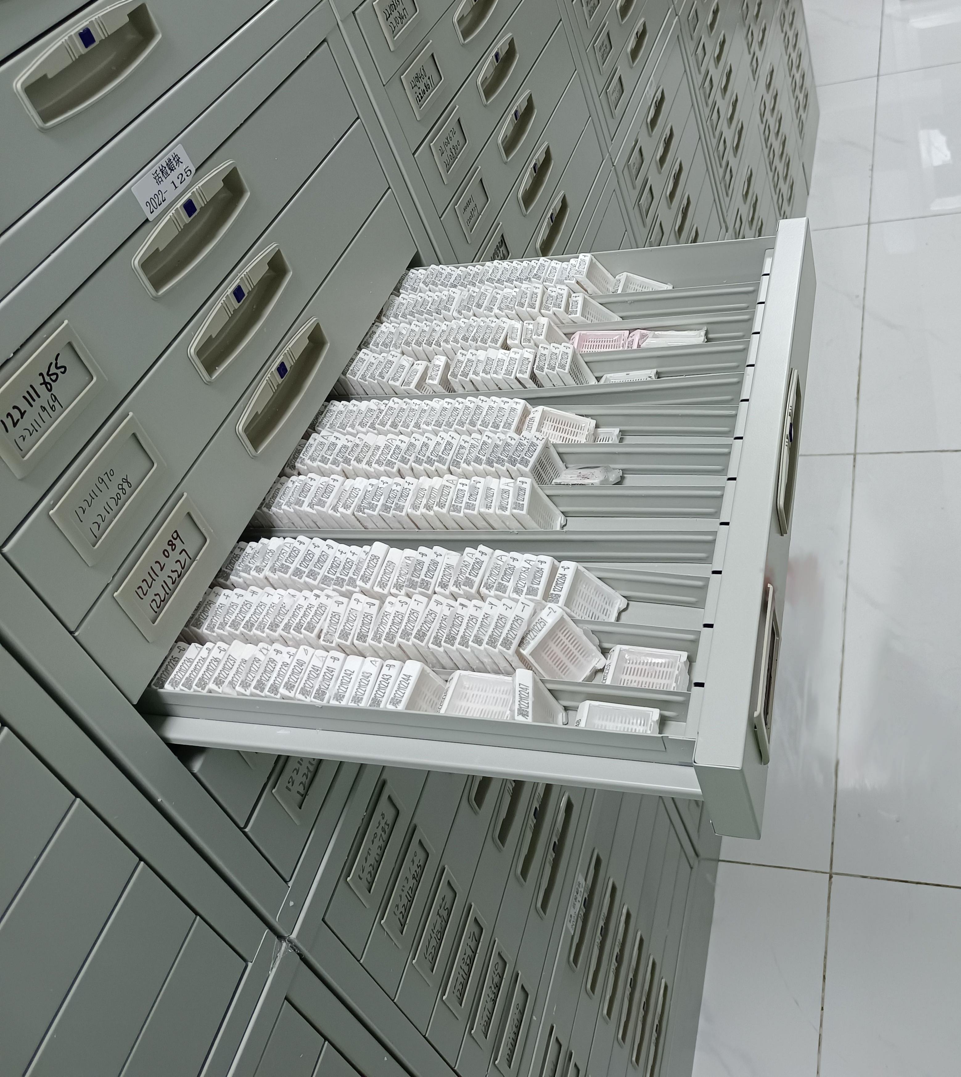 归档 | 蜡块玻片归档数智化管理