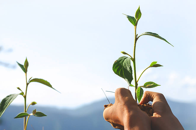 以生物科技为驱动力，推动全人类健康的可持续发展