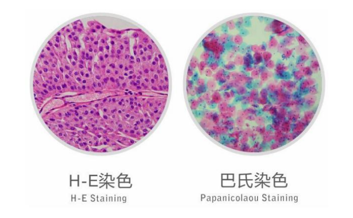 有容乃大灵活适应各类应用需要