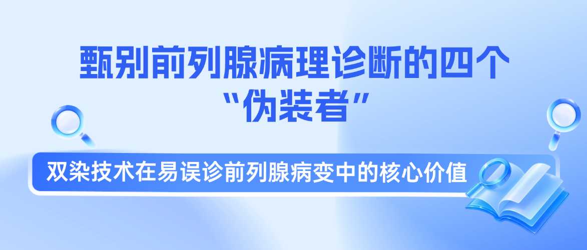 前列腺穿刺20%易误诊？双染技术破解四大诊断陷阱